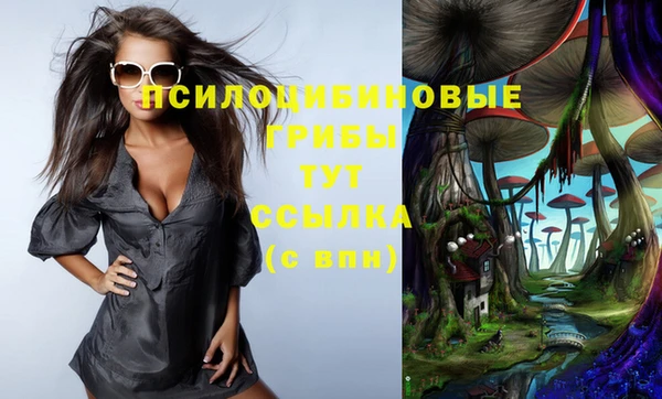 сатива Киреевск