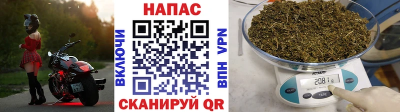 Канабис план  наркотики  Кемь 